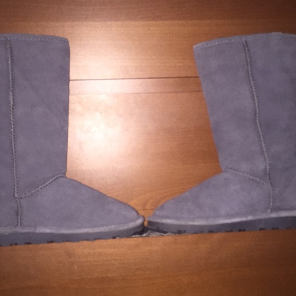 Paws - Picture 4 of 6